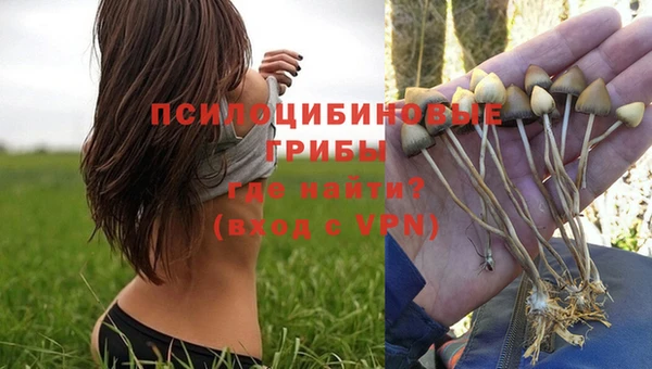 героин Новодвинск