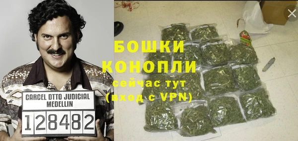 каннабис Новозыбков