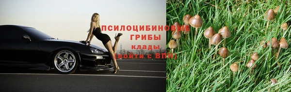 героин Новодвинск