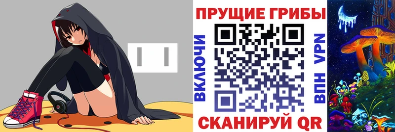 Купить где  Ардон  Псилоцибиновые грибы Psilocybine cubensis 